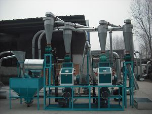 10t-50T Flour Mill Plant
