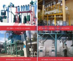 Small Flour Mill Plant Business
