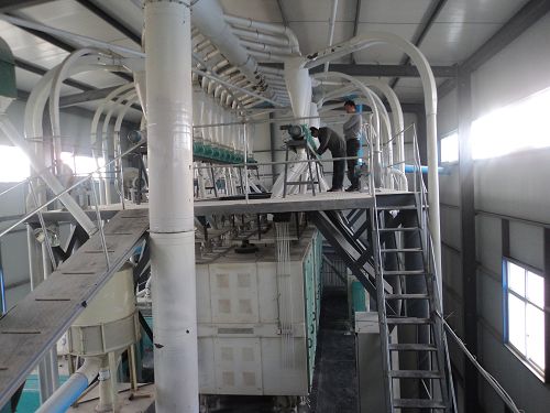 staff are debugging the flour milling plant